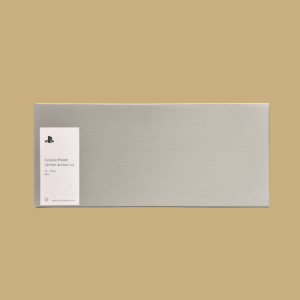 Playstation Portal Remote Player für Playstation 5 (Model CR-Y1016)